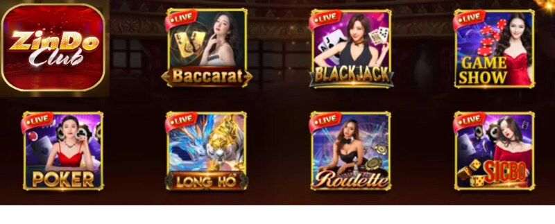 Zindo có những sản phẩm nào?