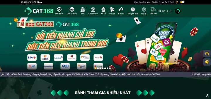Đánh giá tổng quan về cách nạp rút tiền Cat368