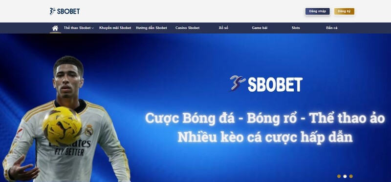 Giới thiệu chung về sbobet